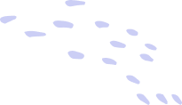 Shape Top Left
